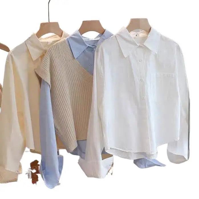 Spring Short Sleeve Women's Shirt Long Sleeve Inner Wear Outer Wear Student Style Soft Silk Fabric 3D Effect Polo Collar Tren...